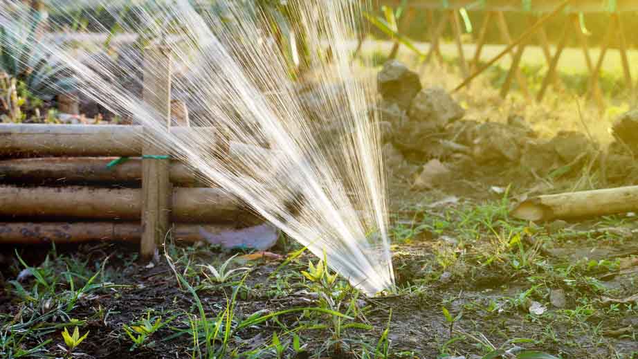 Cracked sewer pipe spraying water into the air, covering yard