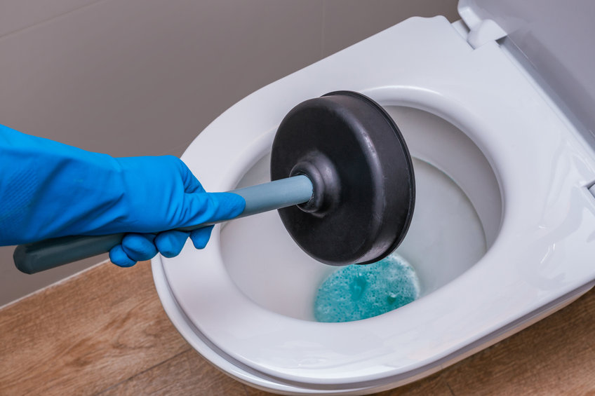 A clean toilet with cleaning agent and a gloved hand with a plunger