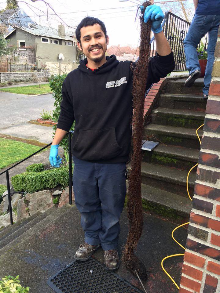 Bob Oates plumbing technician holding a large mass of tree roots removed from a clogged drain or sewer pipe on a residential property