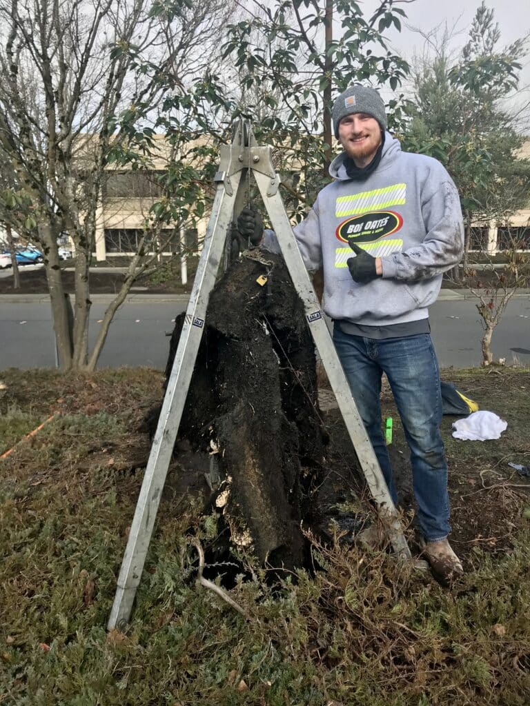 Bob Oates Plumbing technician standing beside a massive 300-pound tree root pulled from a clogged sewer line during a drain cleaning service in Seattle.
