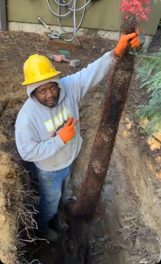 Bob Oates technician holding a large bundle of tree roots removed from a clogged sewer pipe during a repair