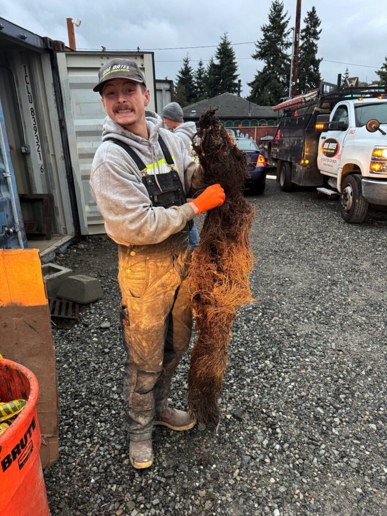 Bob Oates Plumbing technician holding large tree root mass removed from a clogged sewer pipe