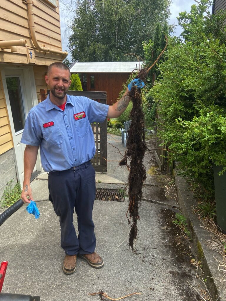 Bob Oates technician holding tree roots removed from a residential sewer line