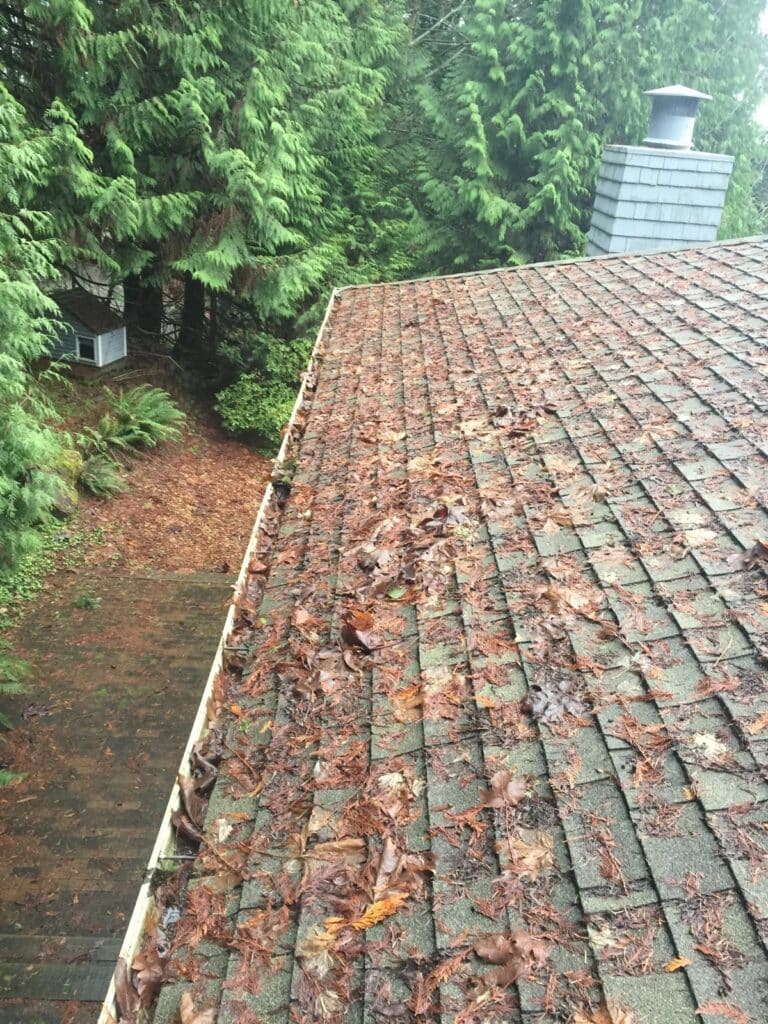 Roof and gutter filled with wet leaves and debris after heavy Seattle winter rain